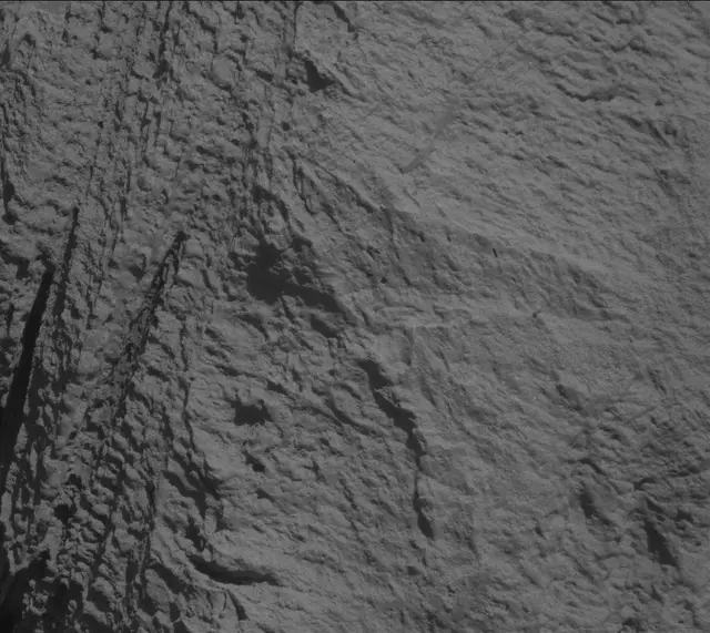 Sol 3316: Mast Camera (Mastcam)