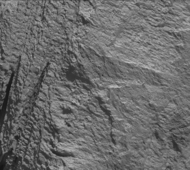 Sol 3316: Mast Camera (Mastcam)