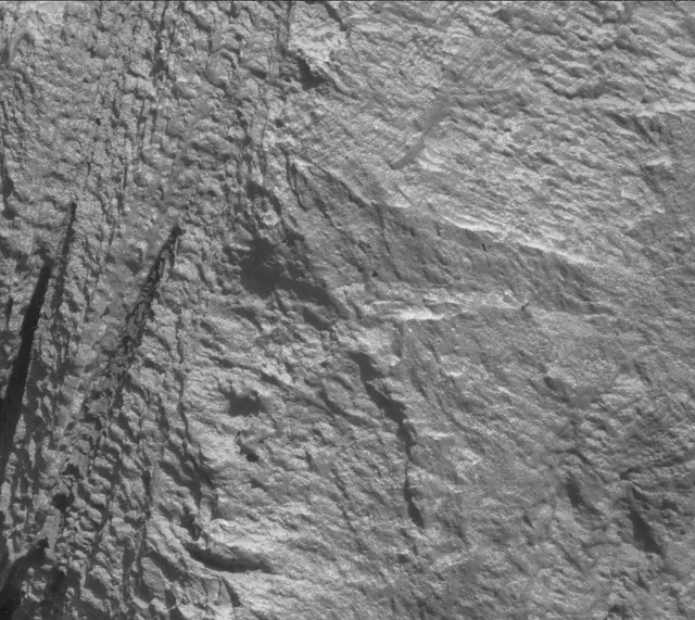 Sol 3316: Mast Camera (Mastcam)