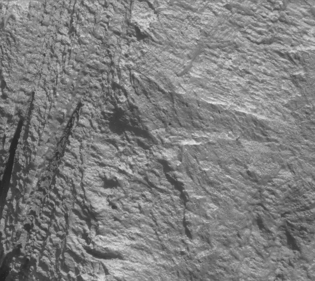 Sol 3316: Mast Camera (Mastcam)