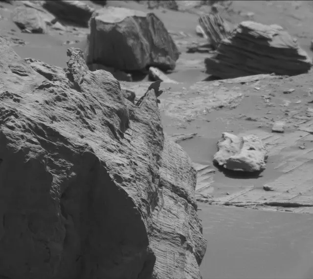 Sol 3318: Mast Camera (Mastcam)