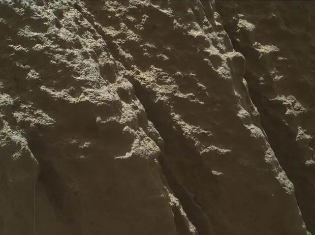 Sol 3318: Mars Hand Lens Imager (MAHLI)