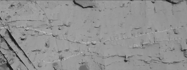 Sol 3319: Mast Camera (Mastcam)