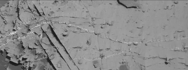 Sol 3319: Mast Camera (Mastcam)
