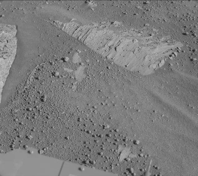 Sol 3319: Mast Camera (Mastcam)