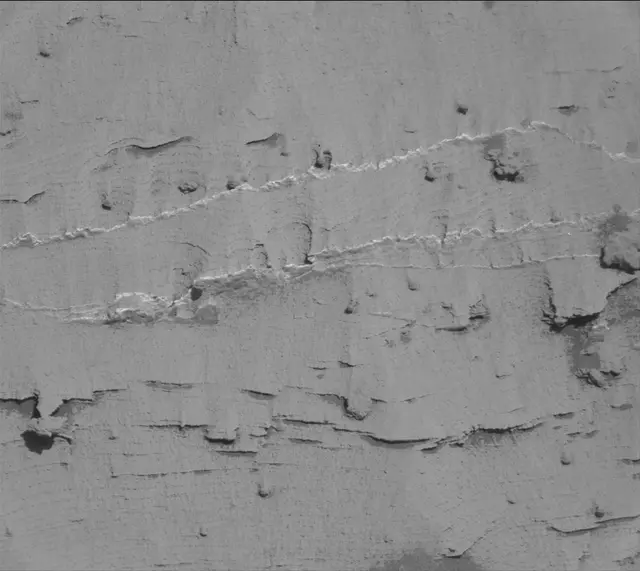 Sol 3319: Mast Camera (Mastcam)
