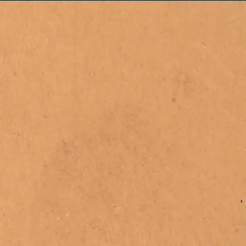Sol 3319: Mars Hand Lens Imager (MAHLI)