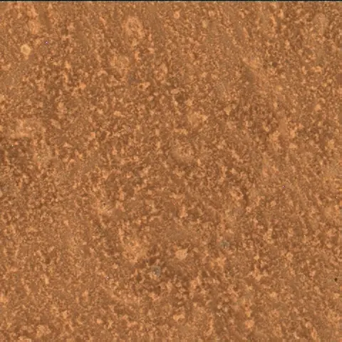 Sol 3319: Mars Hand Lens Imager (MAHLI)