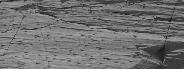 Sol 3320: Mast Camera (Mastcam)