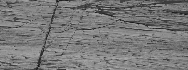 Sol 3320: Mast Camera (Mastcam)
