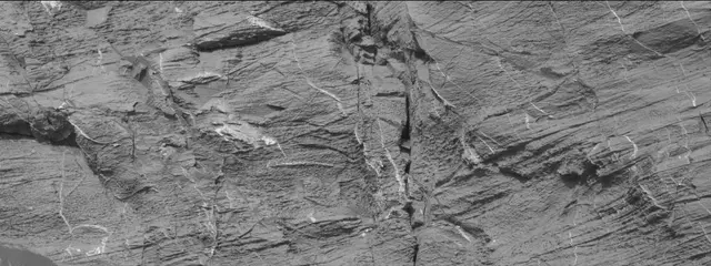 Sol 3322: Mast Camera (Mastcam)