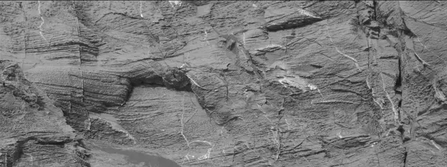 Sol 3322: Mast Camera (Mastcam)
