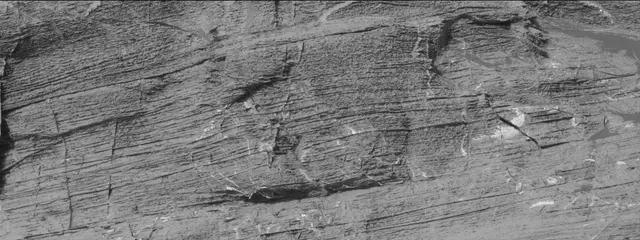 Sol 3322: Mast Camera (Mastcam)
