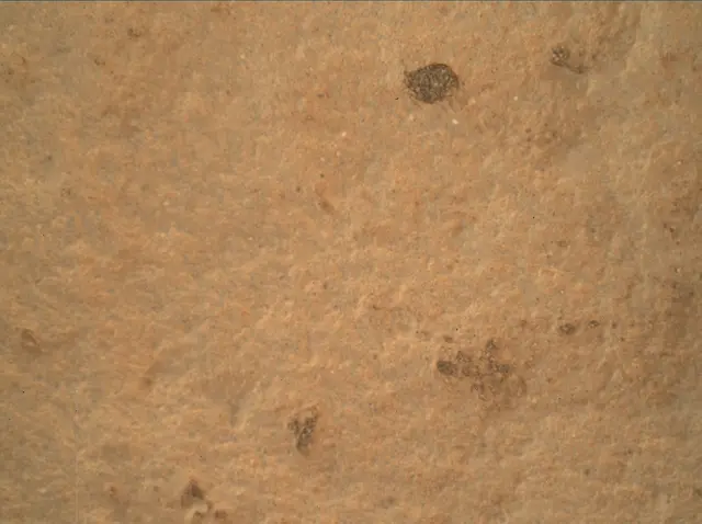 Sol 3323: Mars Hand Lens Imager (MAHLI)