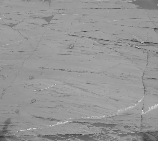 Sol 3324: Mast Camera (Mastcam)