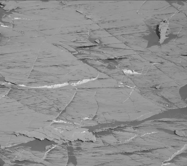 Sol 3324: Mast Camera (Mastcam)