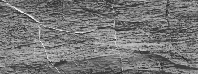 Sol 3324: Mast Camera (Mastcam)