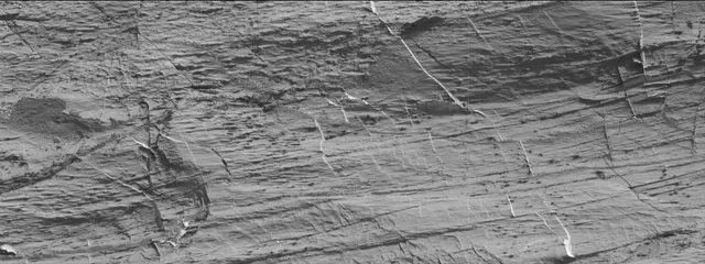 Sol 3324: Mast Camera (Mastcam)