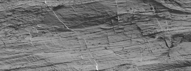 Sol 3324: Mast Camera (Mastcam)