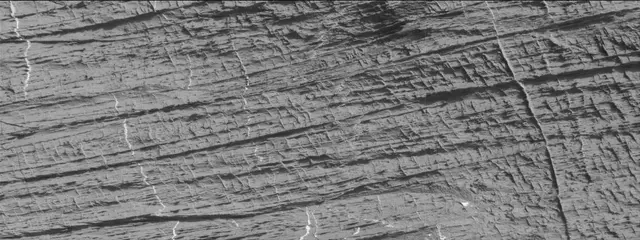 Sol 3324: Mast Camera (Mastcam)