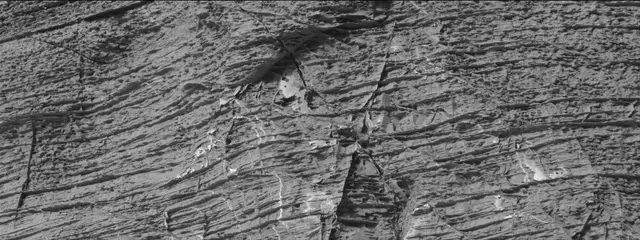 Sol 3324: Mast Camera (Mastcam)