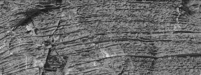 Sol 3324: Mast Camera (Mastcam)