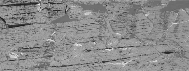 Sol 3324: Mast Camera (Mastcam)