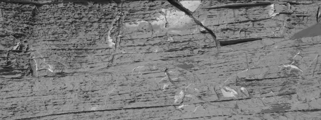 Sol 3324: Mast Camera (Mastcam)