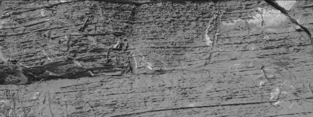 Sol 3324: Mast Camera (Mastcam)