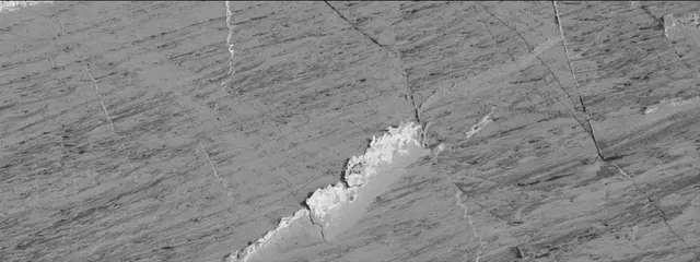 Sol 3324: Mast Camera (Mastcam)