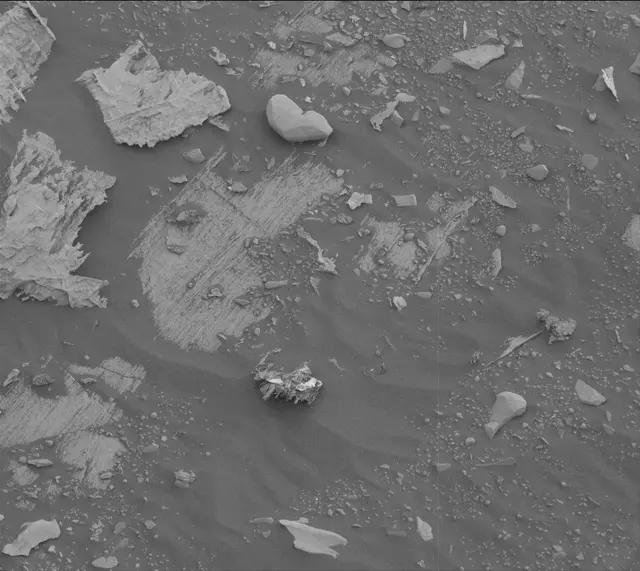 Sol 3324: Mast Camera (Mastcam)