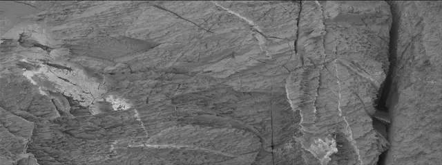 Sol 3326: Mast Camera (Mastcam)