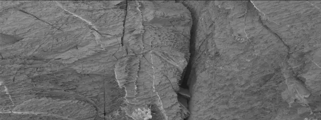 Sol 3326: Mast Camera (Mastcam)