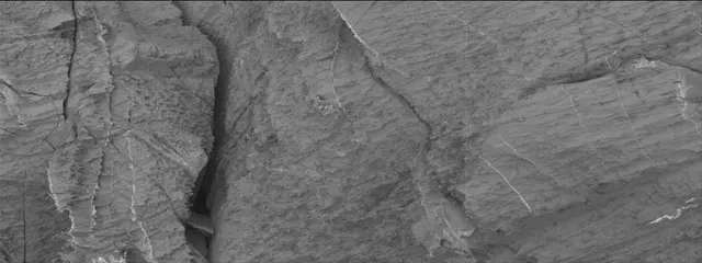 Sol 3326: Mast Camera (Mastcam)