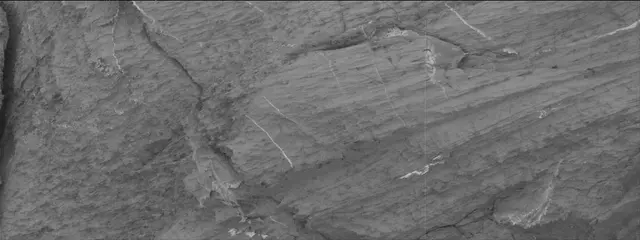 Sol 3326: Mast Camera (Mastcam)