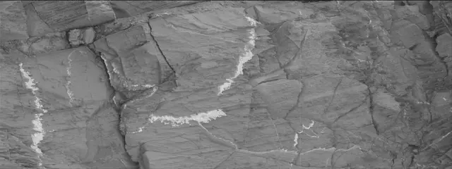 Sol 3326: Mast Camera (Mastcam)