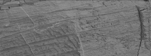 Sol 3326: Mast Camera (Mastcam)
