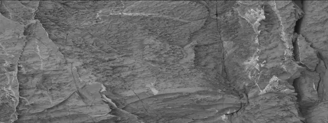 Sol 3326: Mast Camera (Mastcam)