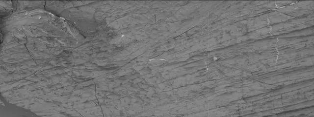 Sol 3326: Mast Camera (Mastcam)