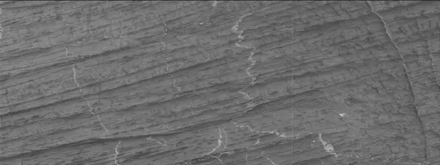 Sol 3326: Mast Camera (Mastcam)