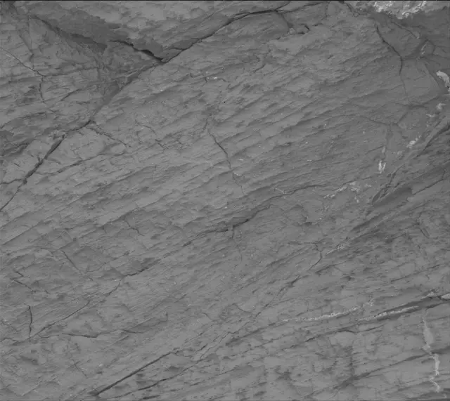 Sol 3326: Mast Camera (Mastcam)