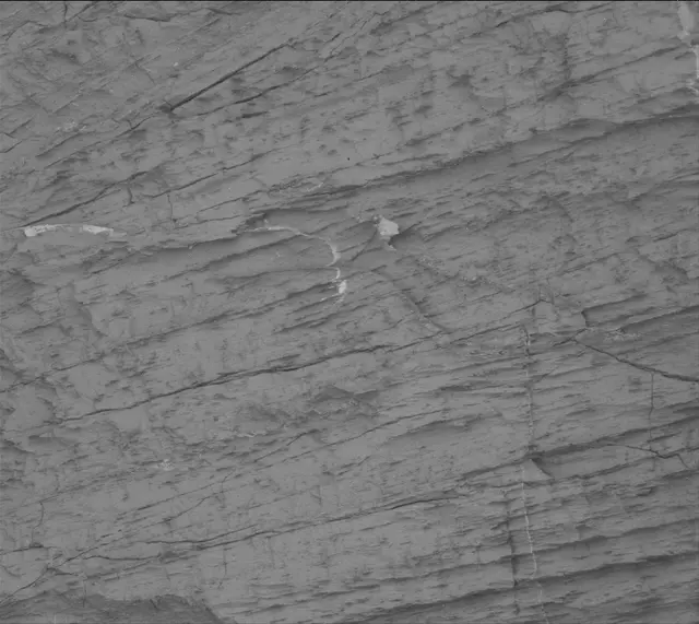 Sol 3326: Mast Camera (Mastcam)