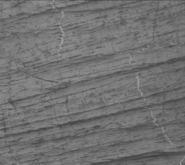 Sol 3326: Mast Camera (Mastcam)