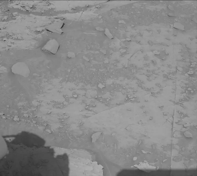 Sol 3329: Mast Camera (Mastcam)