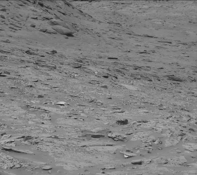 Sol 3330: Mast Camera (Mastcam)