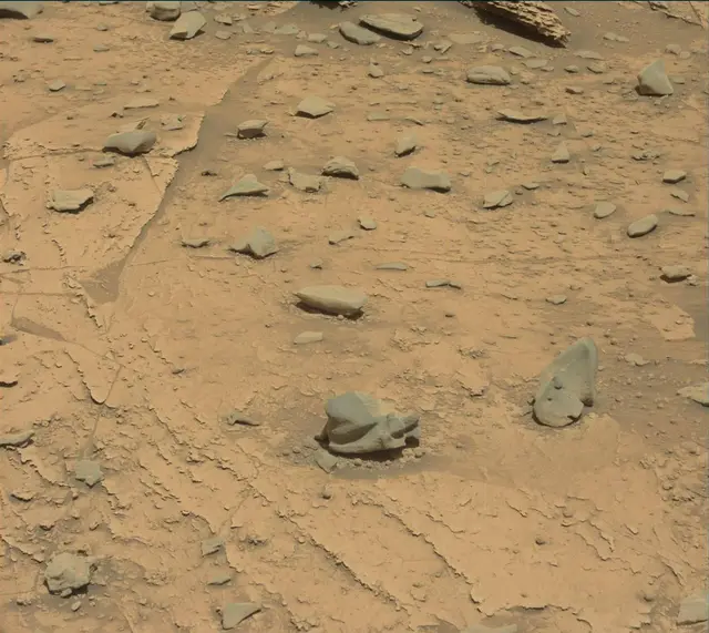 Sol 3330: Mast Camera (Mastcam)
