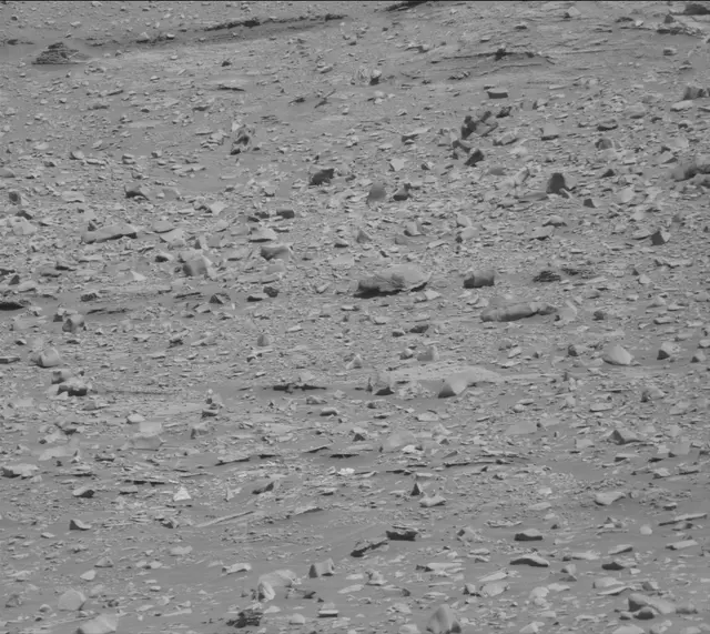 Sol 3330: Mast Camera (Mastcam)