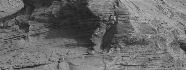 Sol 3331: Mast Camera (Mastcam)