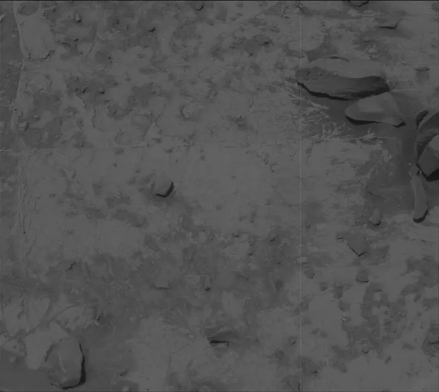 Sol 3331: Mast Camera (Mastcam)