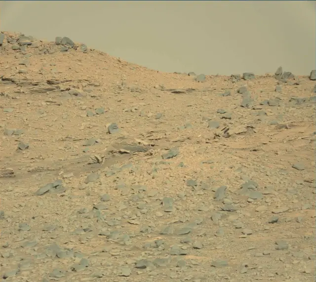 Sol 3331: Mast Camera (Mastcam)